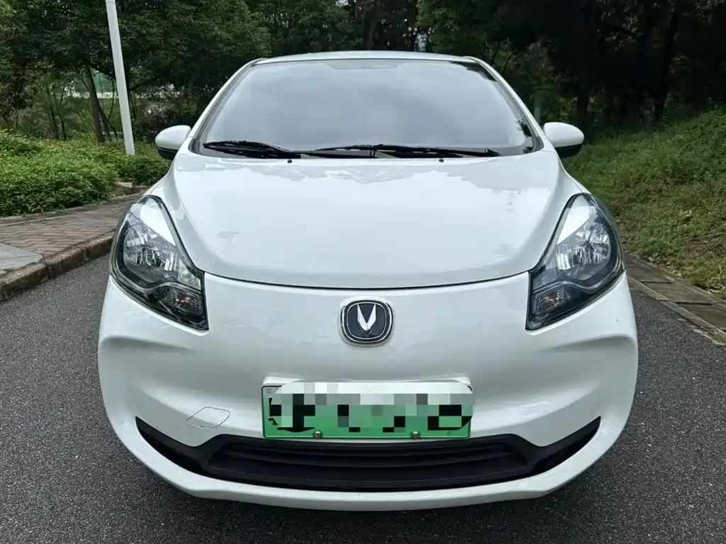 Changan Benben E-Star 2021 2022 National Edition Colorful Limited (Fast Charging) LFP