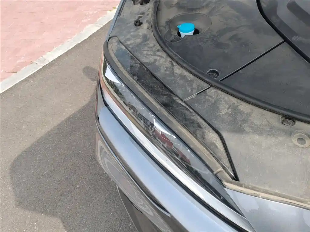 BYD Song PLUS PHEV 2024 Glory Edition DM-i 110km Flagship фото 21