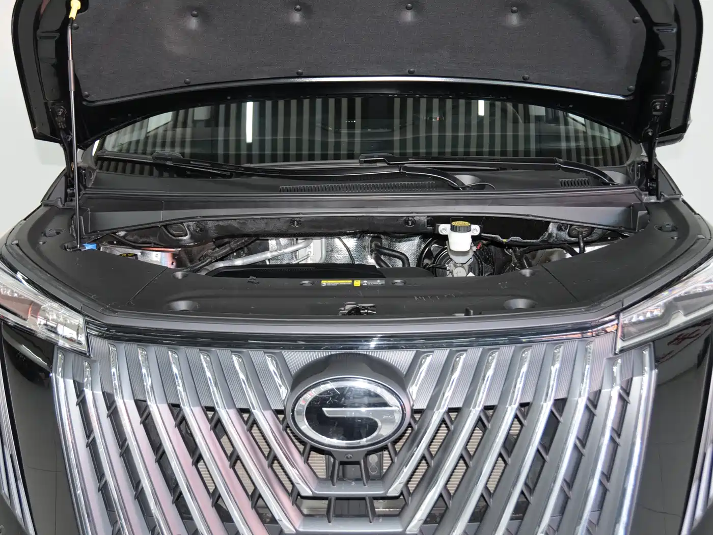 GAC Trumpchi Trumpchi M8 2024 Master Series 400T Premium Edition фото 6