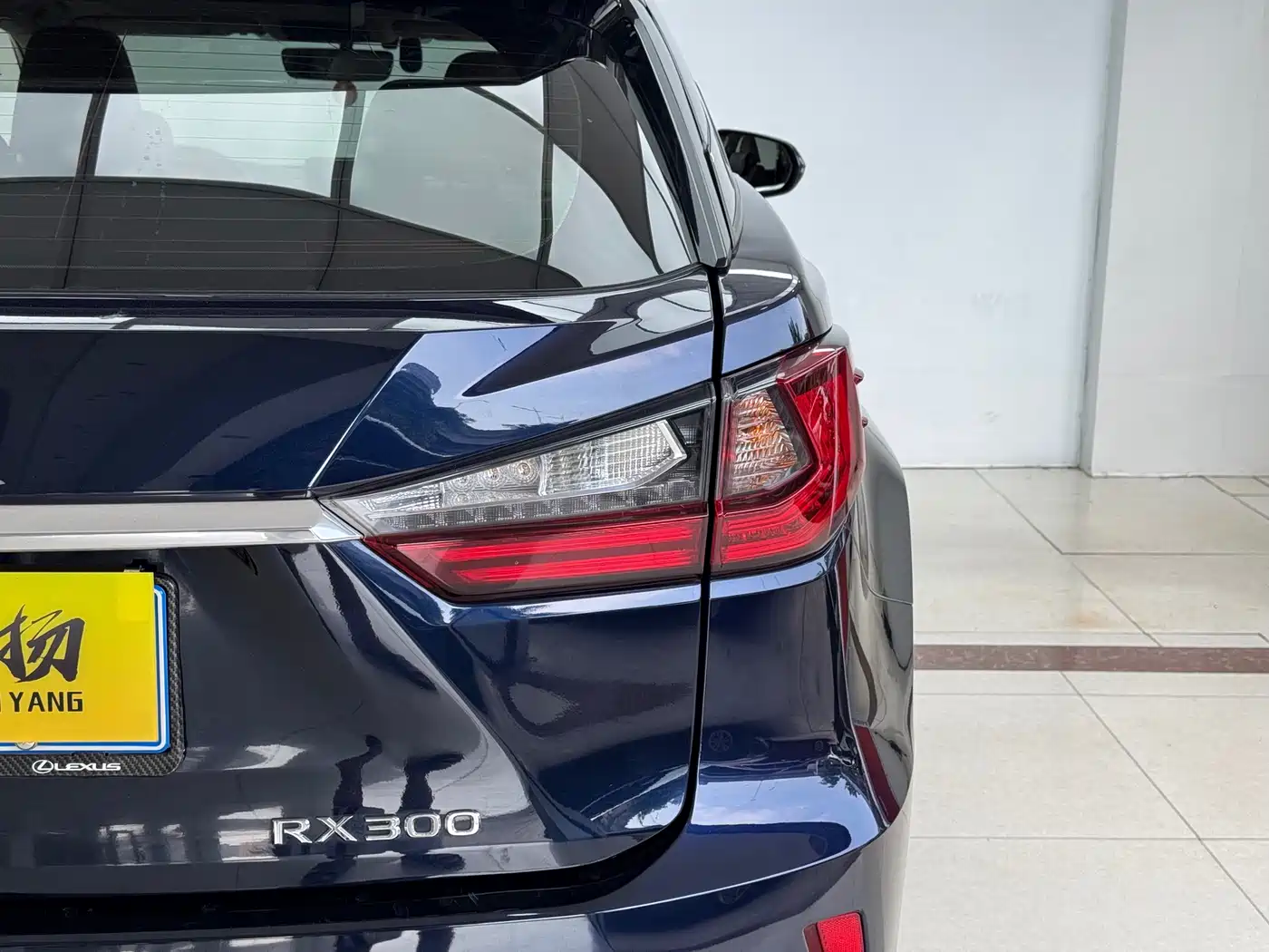 Фото 24 - Lexus RX