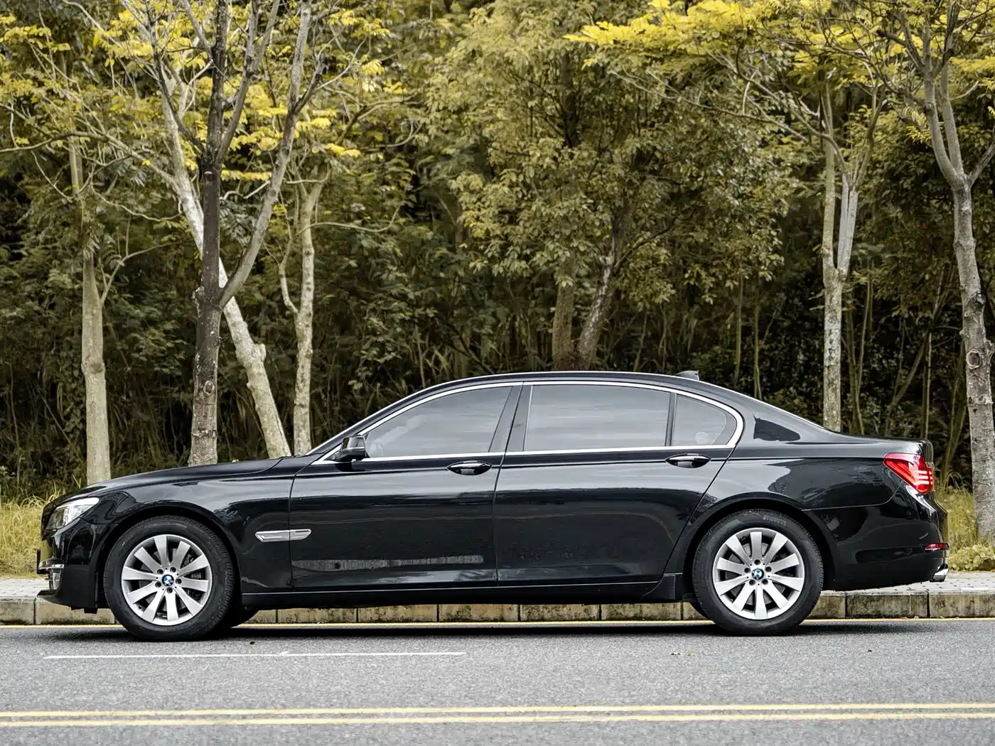 BMW 7 Series 2013 Model 730Li Leading фото 13