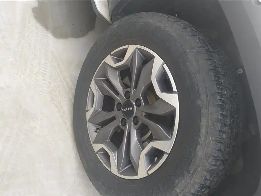 Haval Big Dog 2022 Model 2.0T DCT AWD Howling Celestial Dog Hunting Edition фото 6