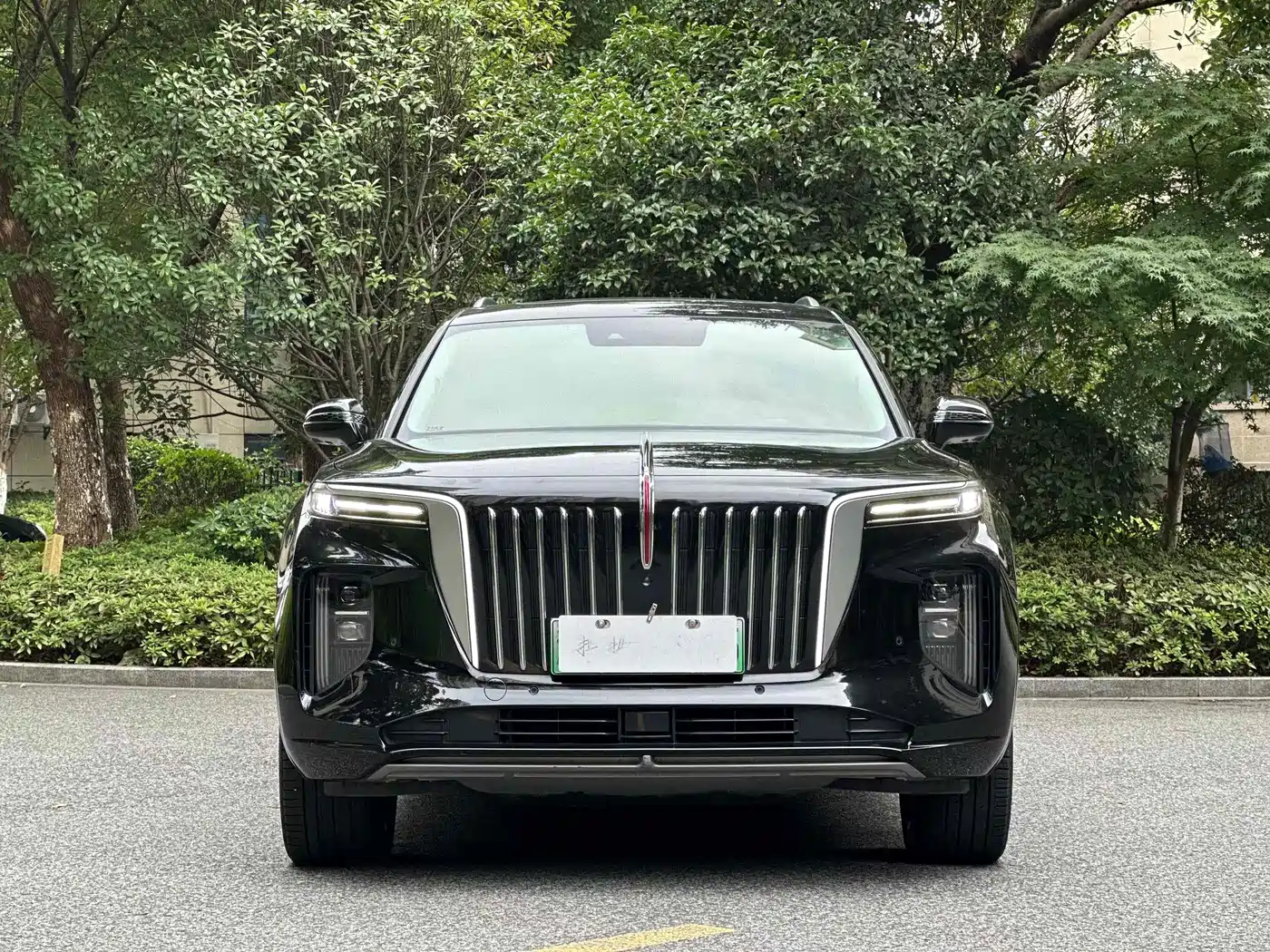 Hongqi E-HS9 2021 460km Flagship Comfort 6-seater фото 2