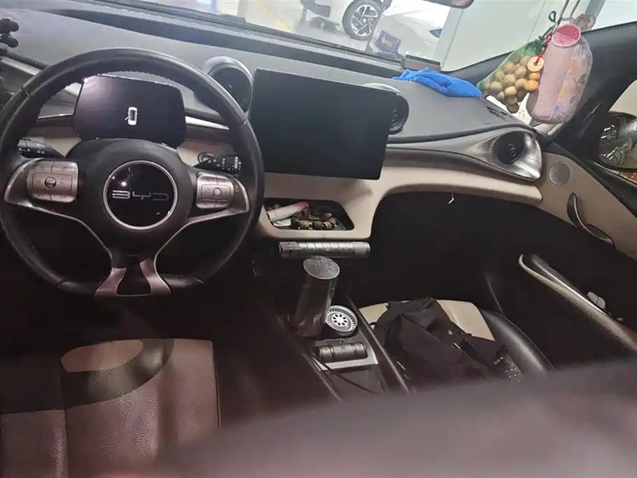 BYD Dolphin 2023 420km Fashion Edition фото 12