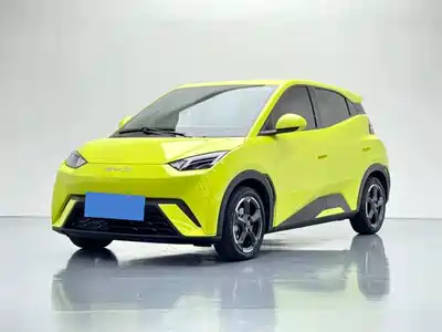 BYD Seagull