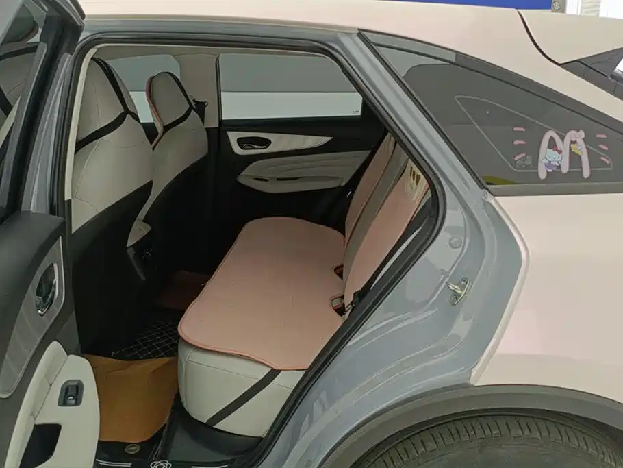 Venucia DaV DD-i 2024 2023 110km iE Edition