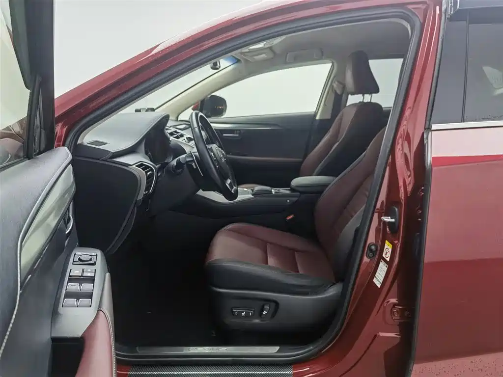 Lexus NX 2018 Model 300 FWD Fengxing Edition фото 10