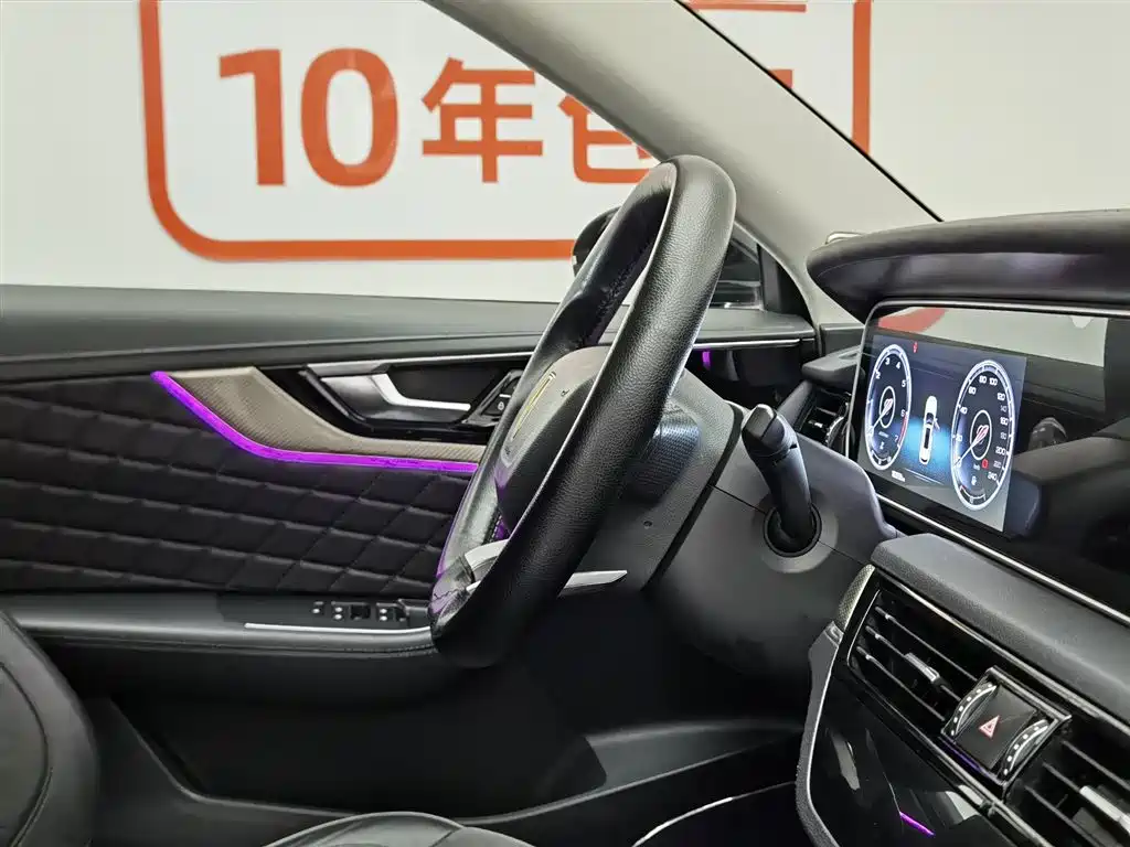 Hongqi HS5 2019 2.0T Smart Connect Enjoy 4WD Edition фото 22