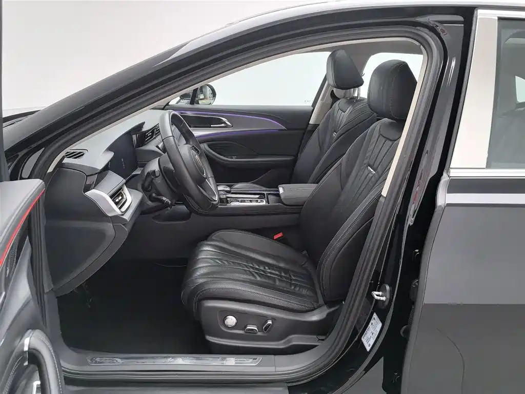 Hongqi H5 2023 2.0T Auto Smart Connect Flag Comfort фото 10