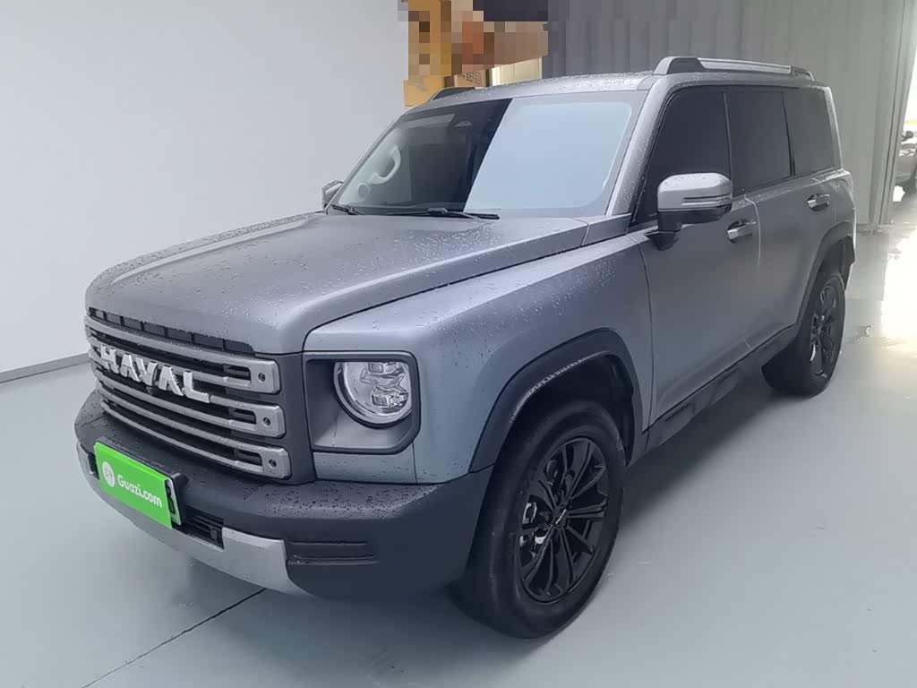 Haval Meng Long NEV