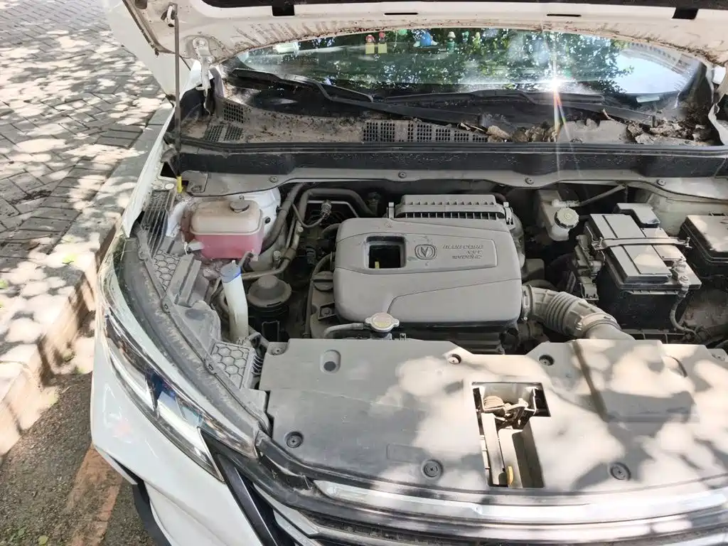 Changan CS15 2019 2019 1.5L Manual Progressive China V