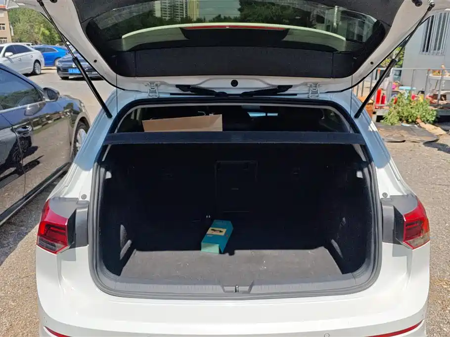 Volkswagen Golf 2021 280TSI DSG Pro фото 4