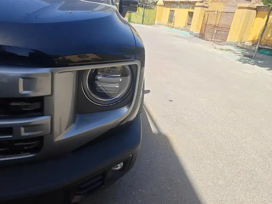 Haval Big Dog 2024 1.5T DCT Border Collie Edition фото 5