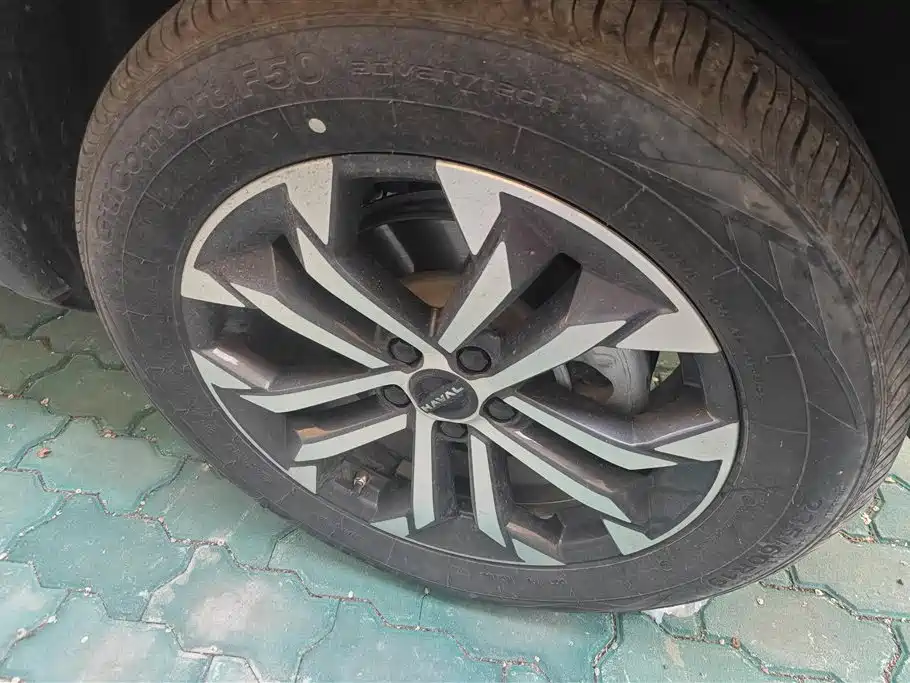 Haval Big Dog 2024 1.5T DCT Border Collie Edition фото 6