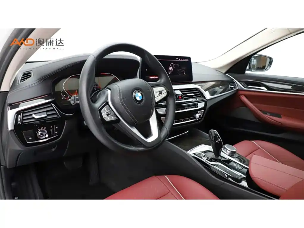 BMW 5 Series 2021 525Li Luxury Package фото 6