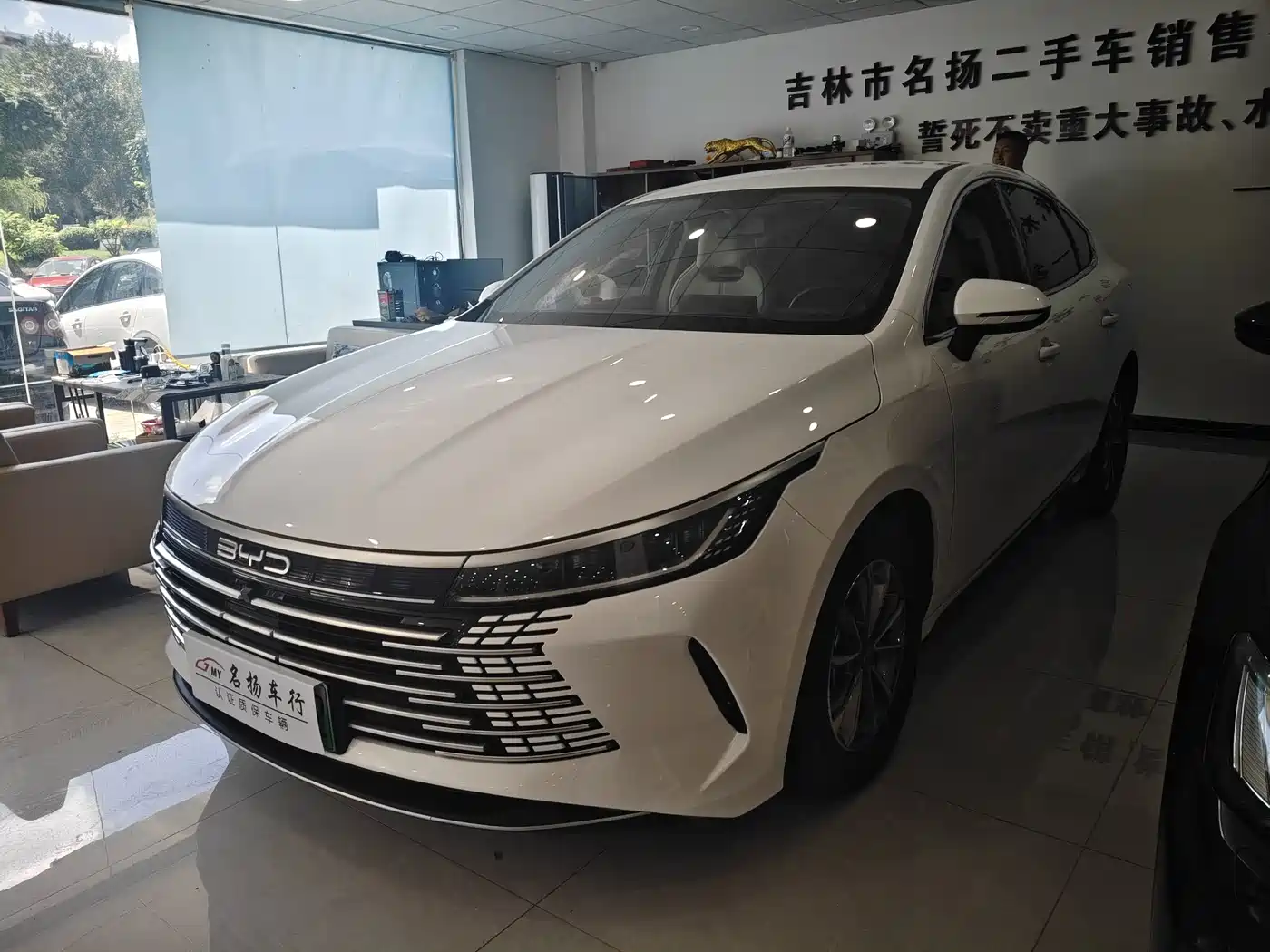Фото 1 - BYD Destroyer 05