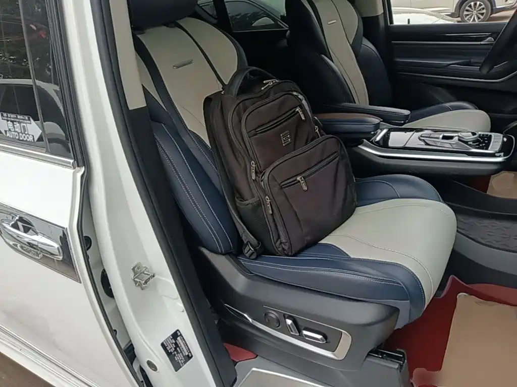 صورة 25 - Maxus G20