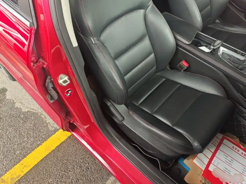 Фото 25 - Geely Binrui
