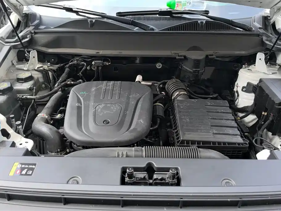 HAVAL RAPTORS NEW ENERGY