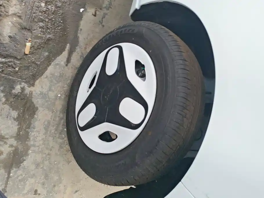 Geely Galaxy Panda 2026 2025 Panda mini 210km Vitality Bear