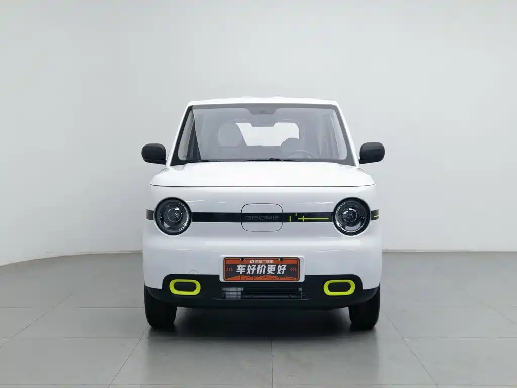 Geely Galaxy Panda 2026 2025 Panda mini 210km Vitality Bear