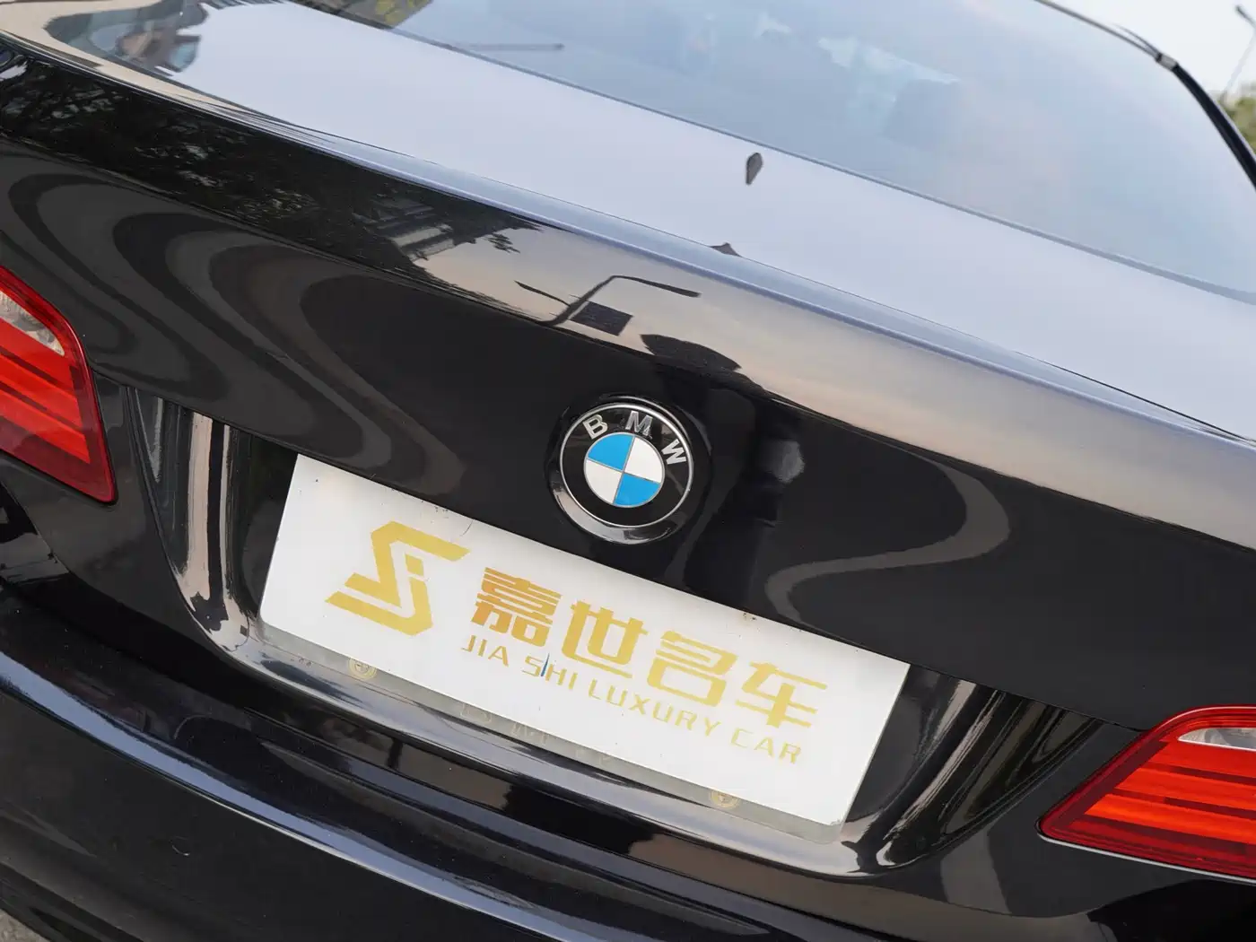 BMW 5 Series 2011 523Li Luxury фото 28