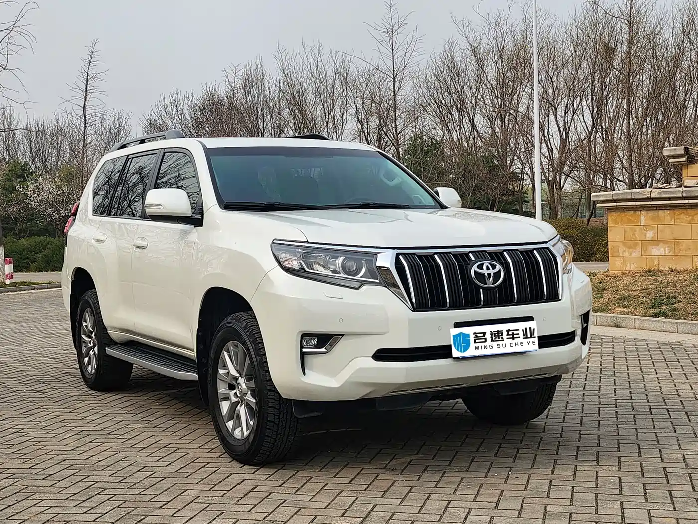 TOYOTA PRADO