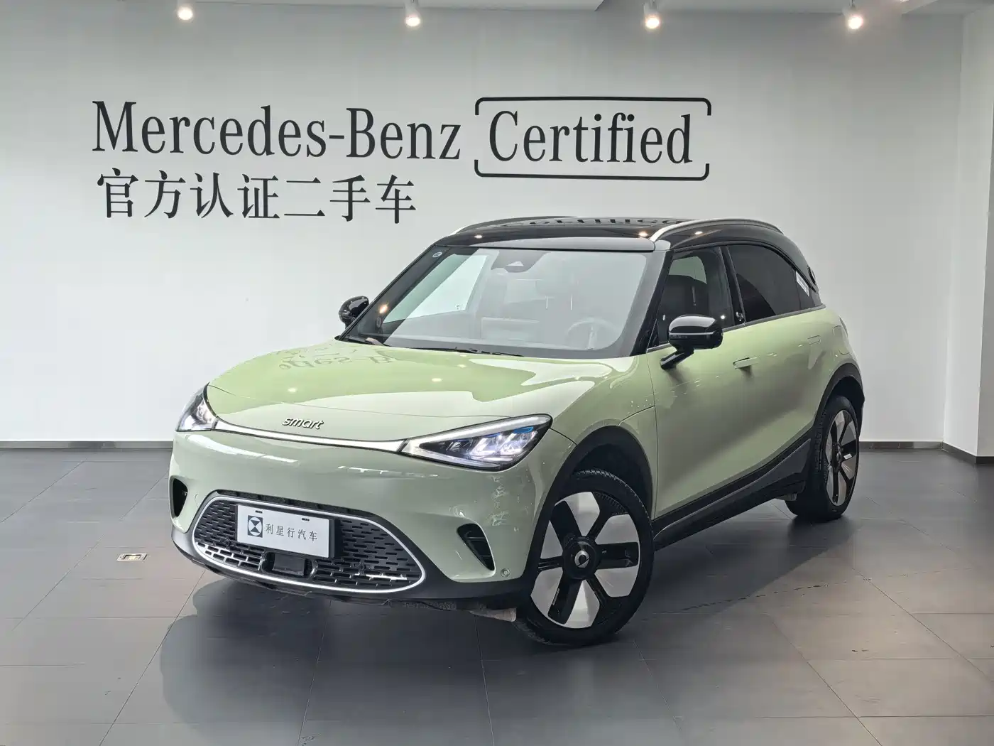 smart Elf #1 2025 2026 Agile New Luxury Edition