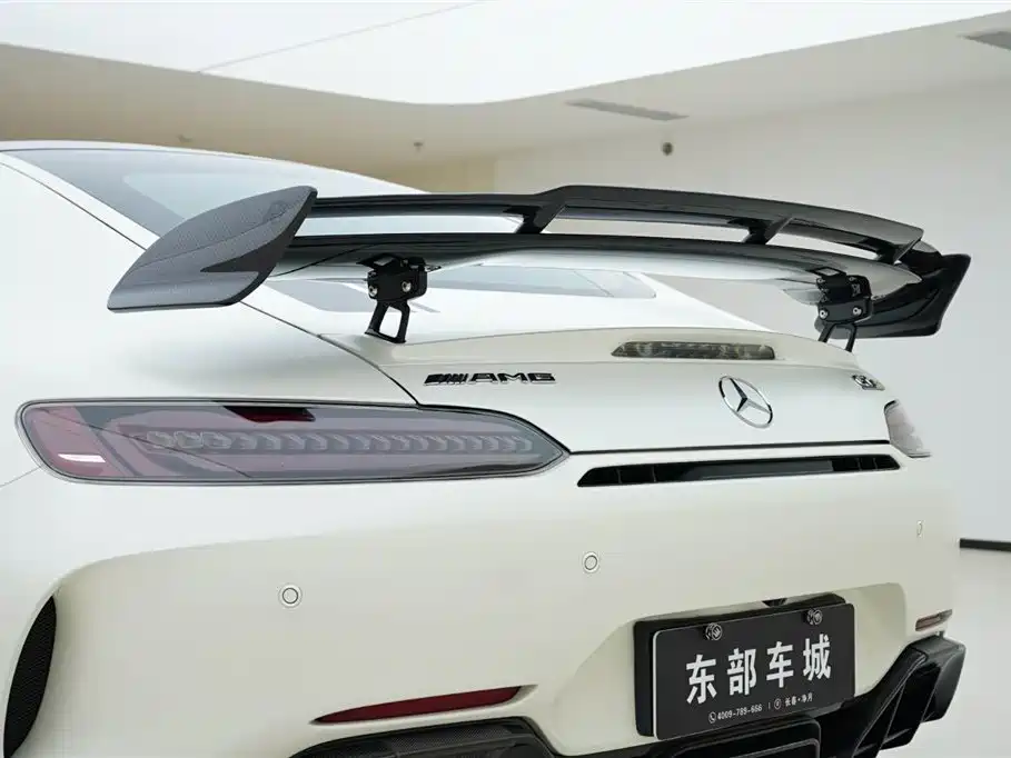 Mercedes-Benz AMG GT 2019 AMG GT R PRO фото 10