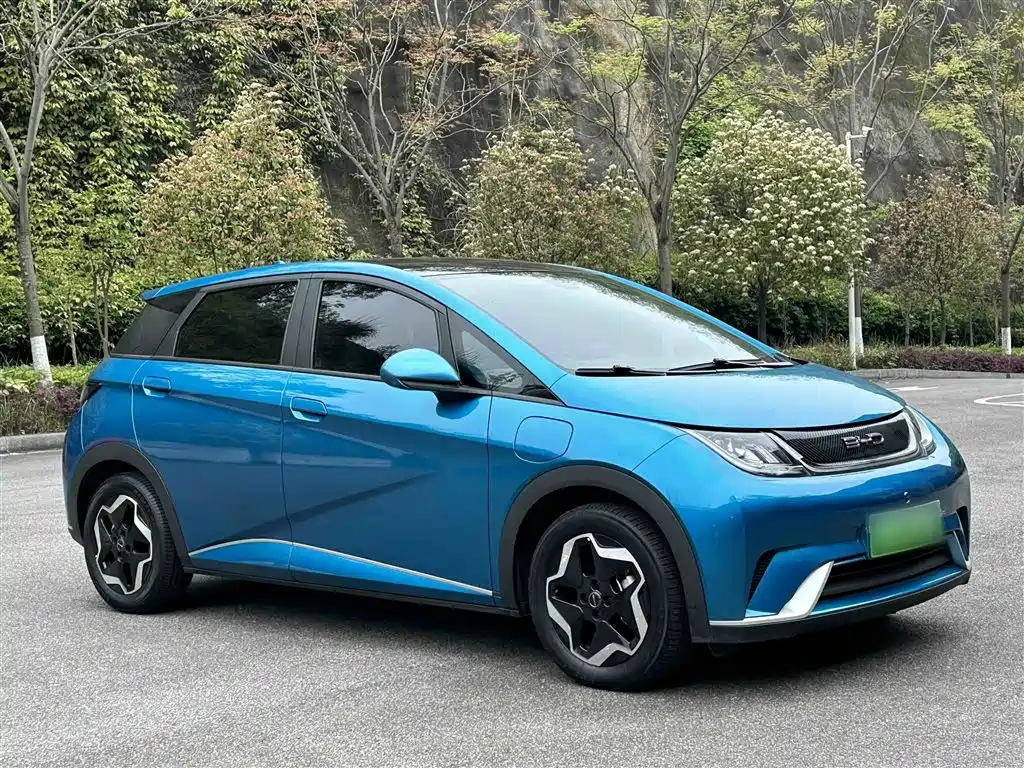 BYD Dolphin 2021 Model 405km Fashion Edition фото 22