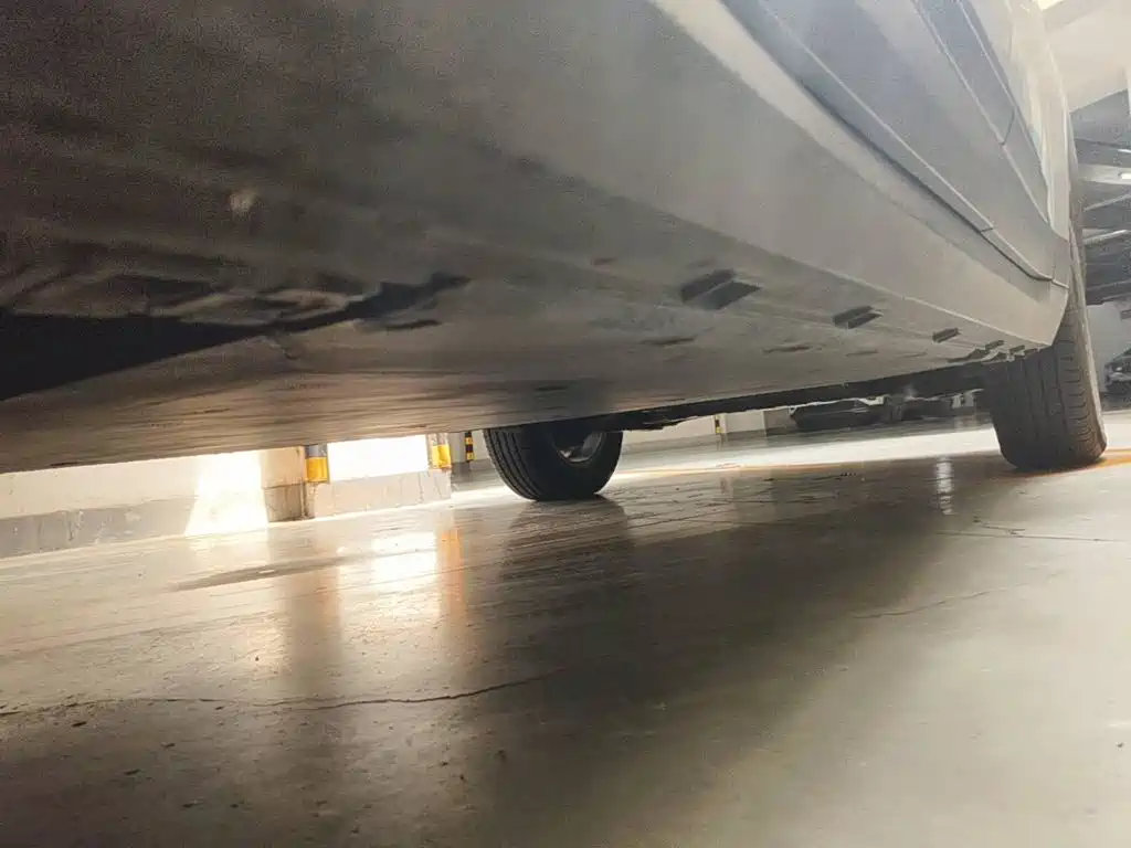 Geely Radar Radar King Kong 2025 2025 460km 4WD Standard Cargo Power Guardian