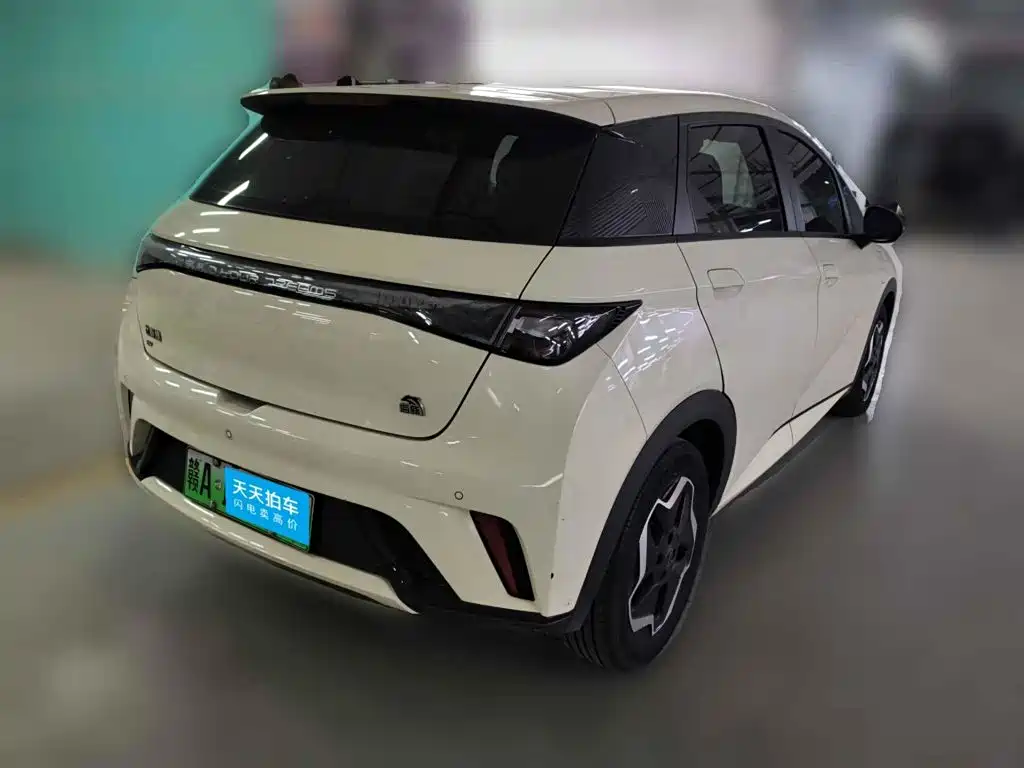 Фото 5 - BYD Dolphin