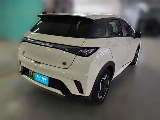 BYD Dolphin 2021 Model 405km Fashion Edition — фото 5