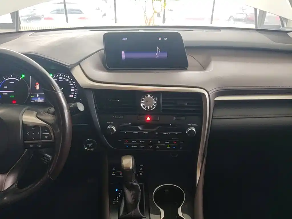 Фото 9 - Lexus RX