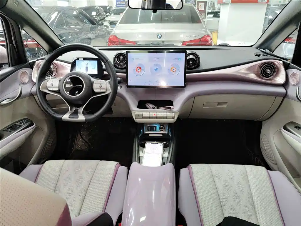 BYD Dolphin 2023 420km Fashion Edition фото 10