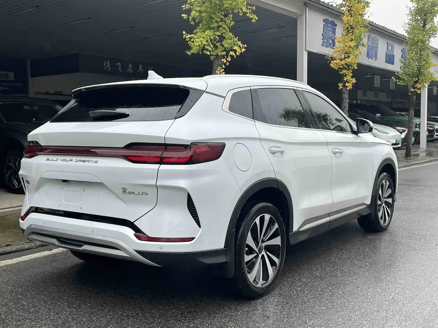BYD Song PLUS PHEV, миниатюра 16