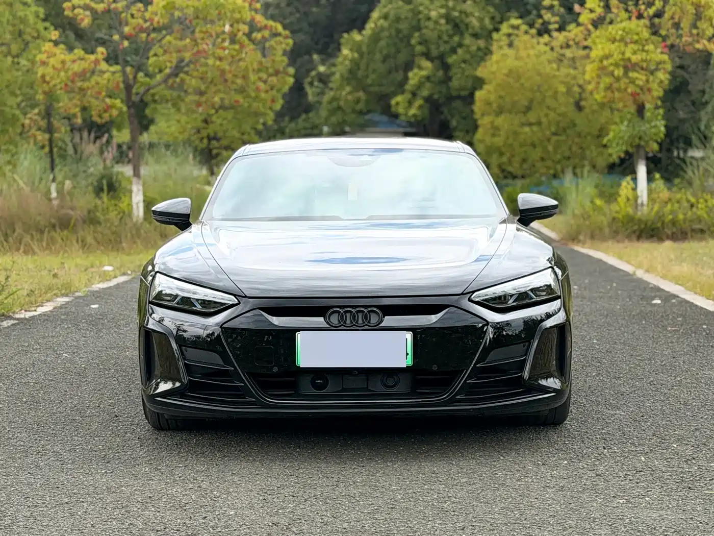 Audi e-tron GT, миниатюра 2