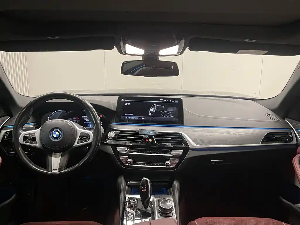 BMW 5 SERIES NEW ENERGY