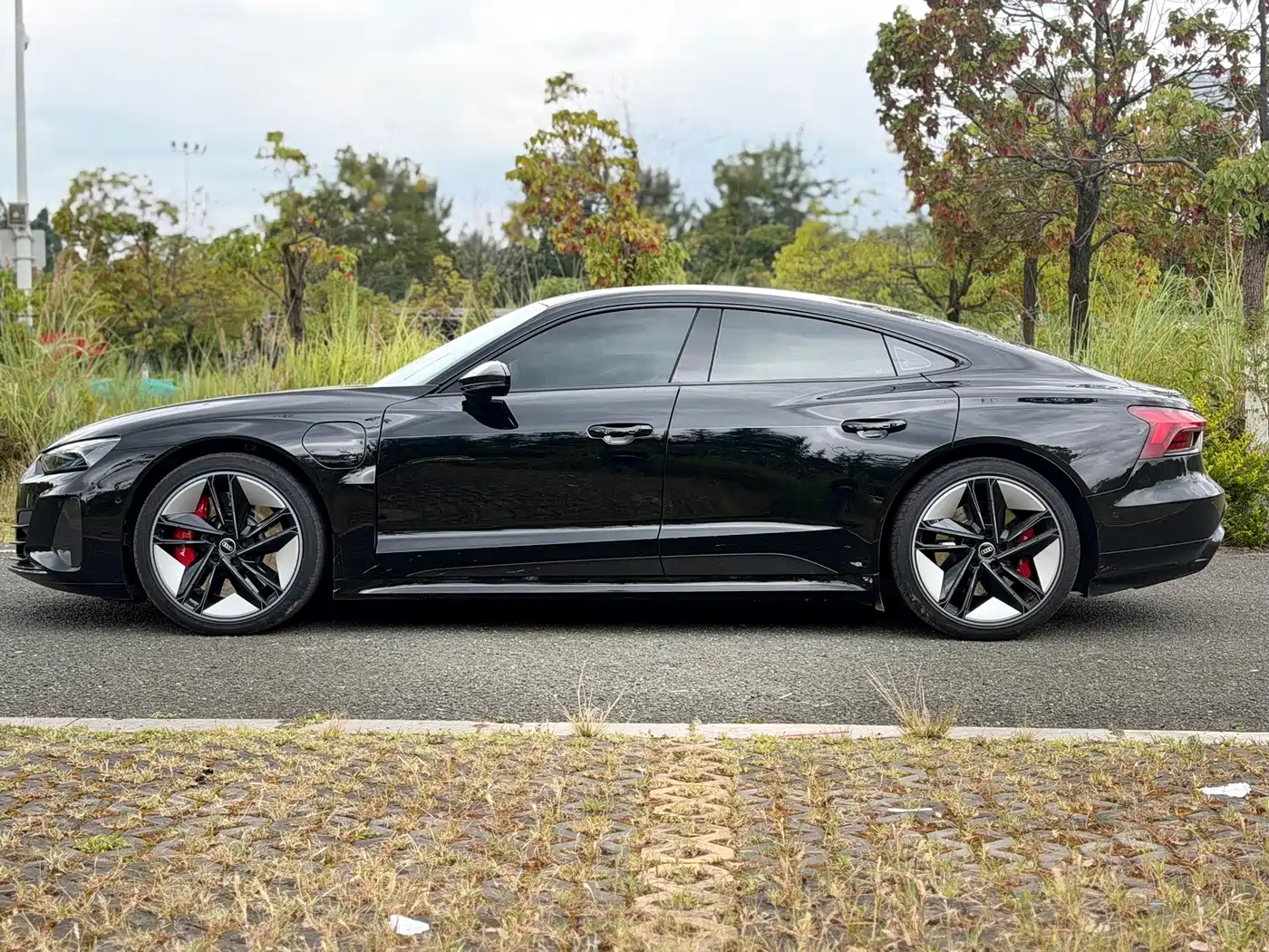 Audi e-tron GT, миниатюра 4