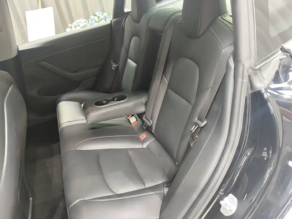 Tesla Model 3 2020 2019 Standard Range Rear-Wheel Drive Upgrade