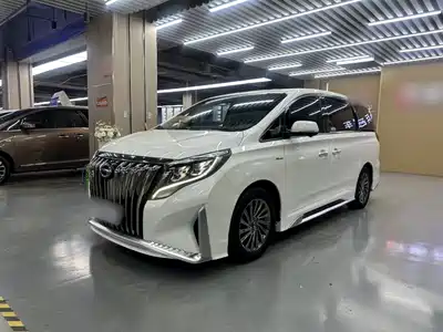 Trumpchi M8