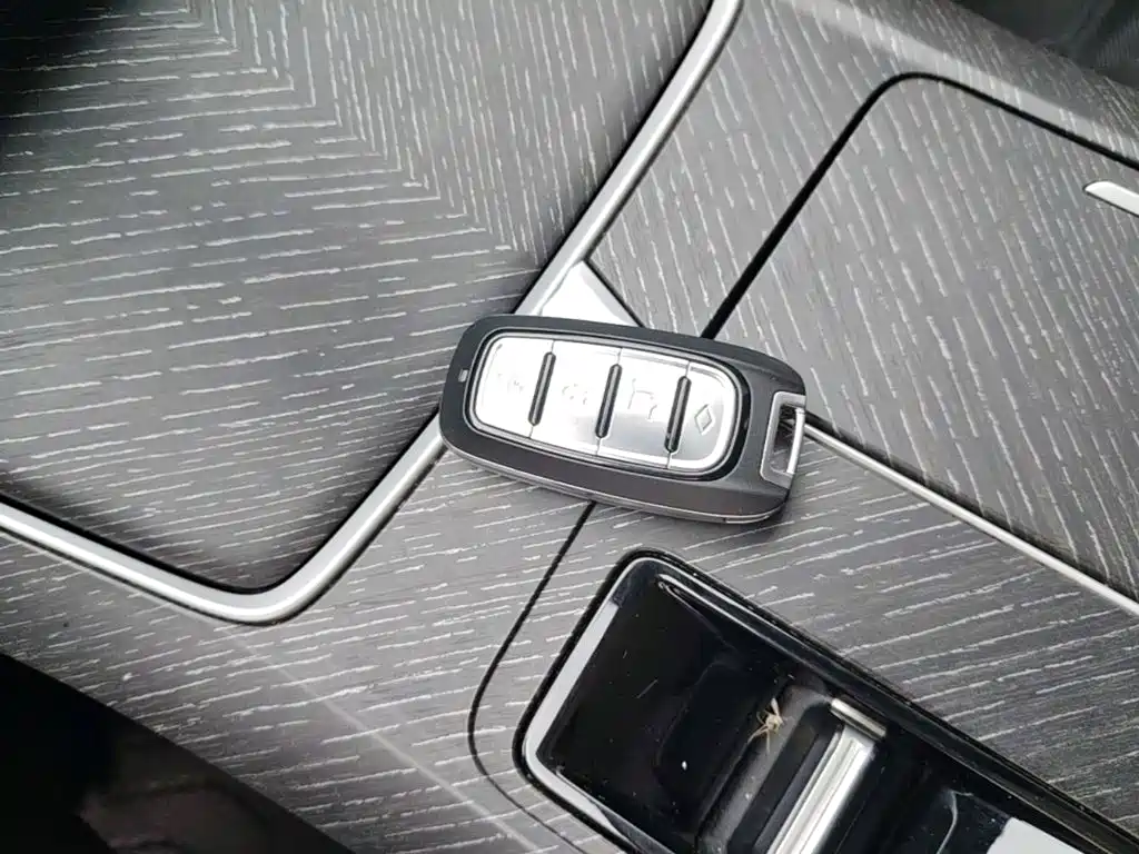Venucia DaV DD-i 2025 2023 110km iE Edition