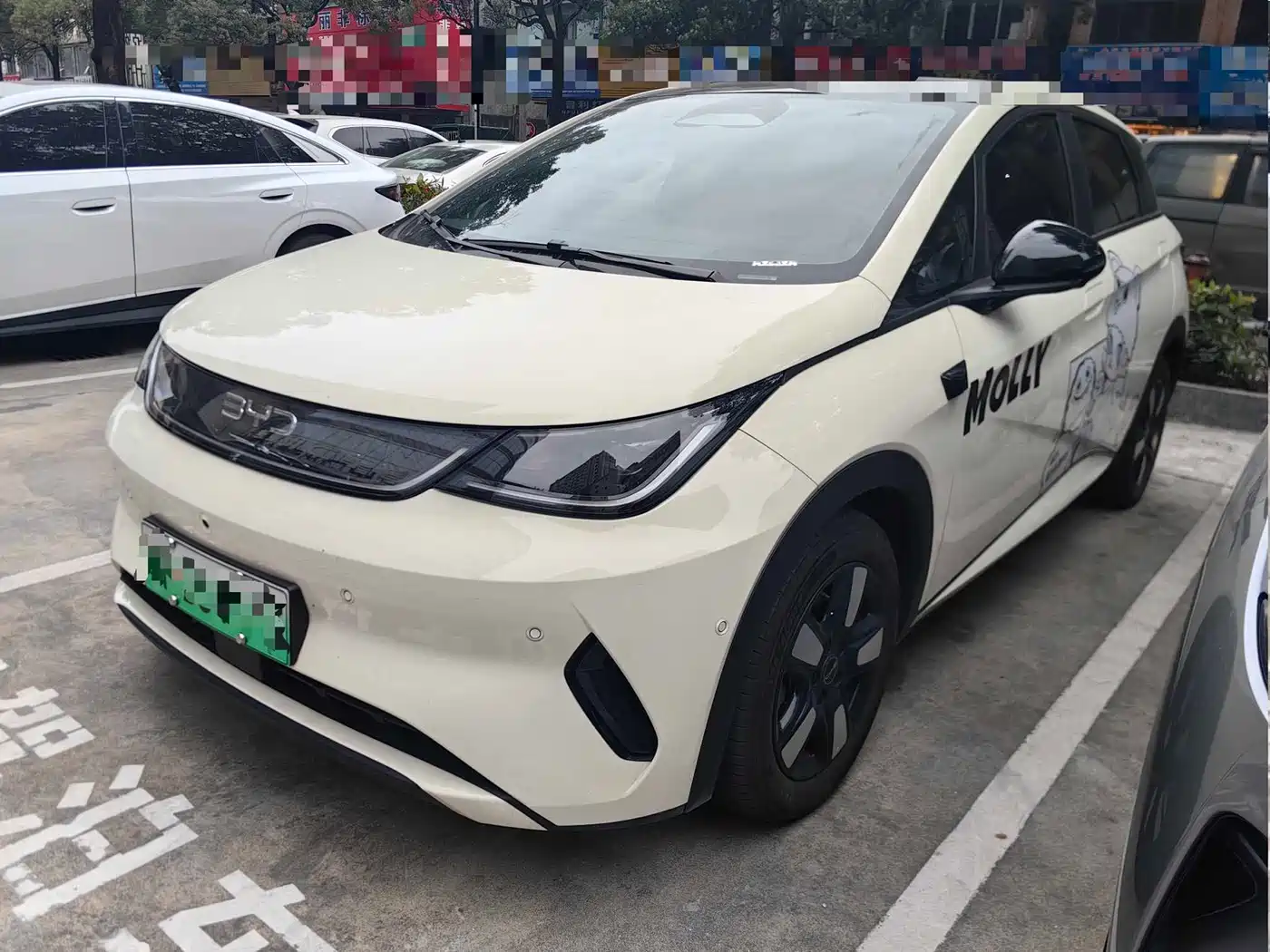 BYD Dolphin 2025 Smart Drive Edition 410km Fashion Version