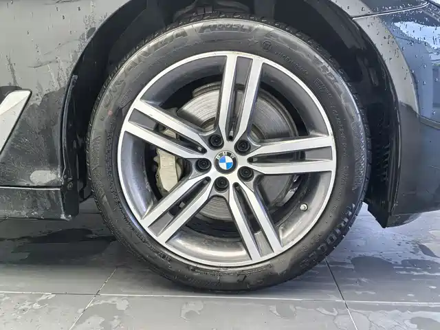 BMW 5 Series 2021 530Li Leading Luxury Package — фото 5