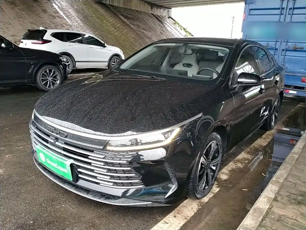 BYD Destroyer 05 2022