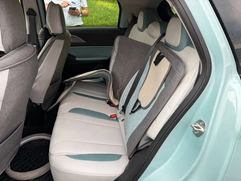 Geely Geometry E Firefly 2024 2024 Model 401km Fluorescent