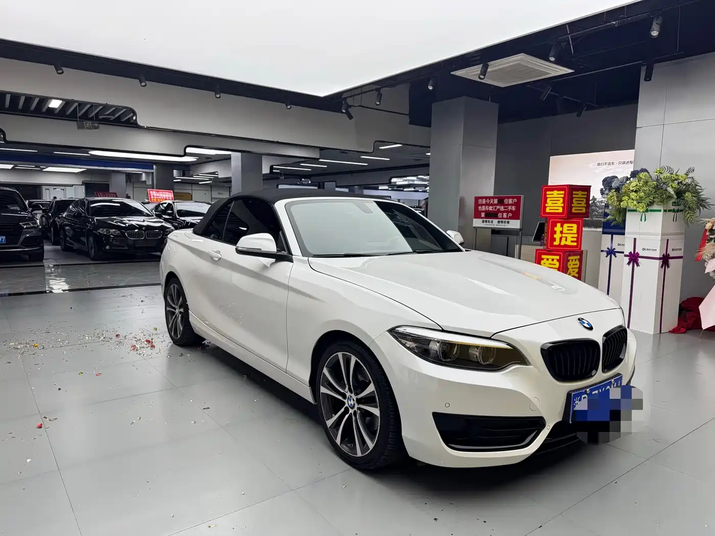 BMW 2 Series (Import) 2019 225i Convertible Coupe Sport Design Package фото 3