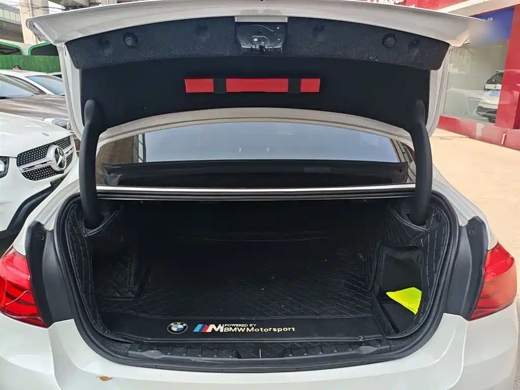 BMW 3 Series 2018 320Li Fashion Style фото 19