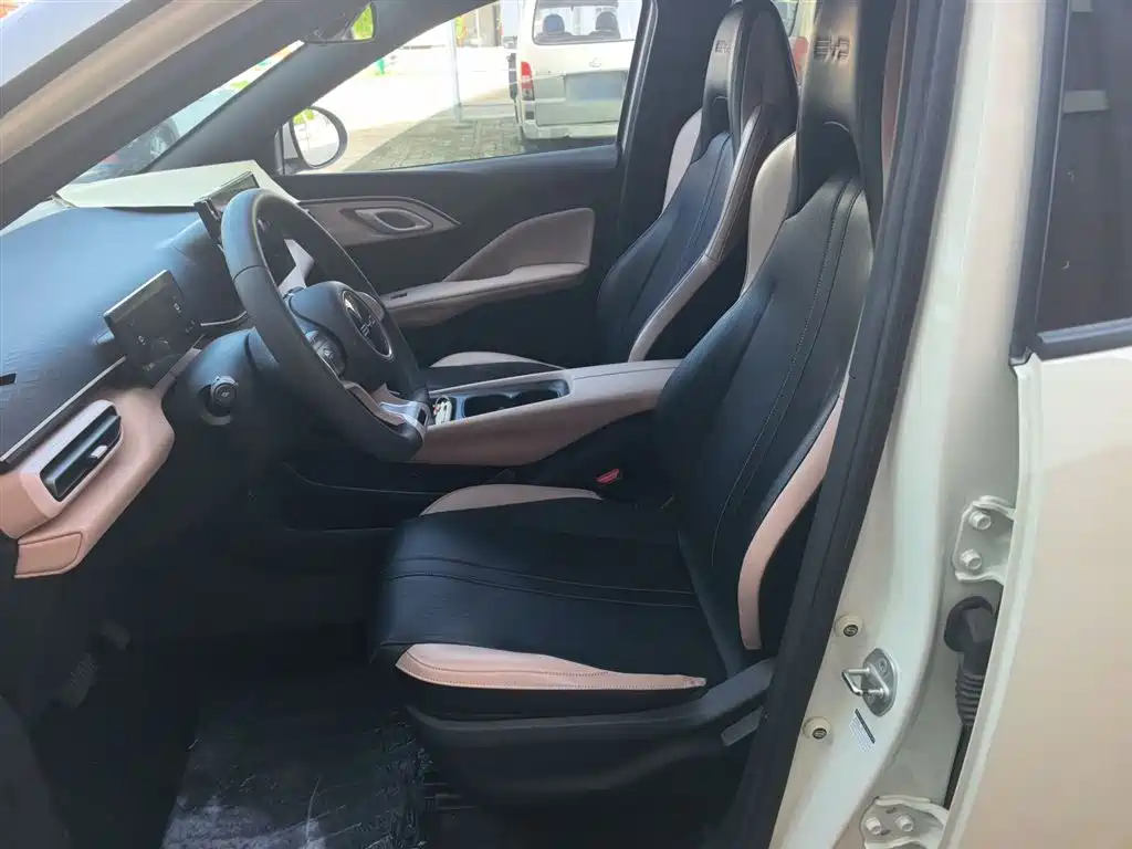 BYD Seagull 2023 Vitality Edition фото 15