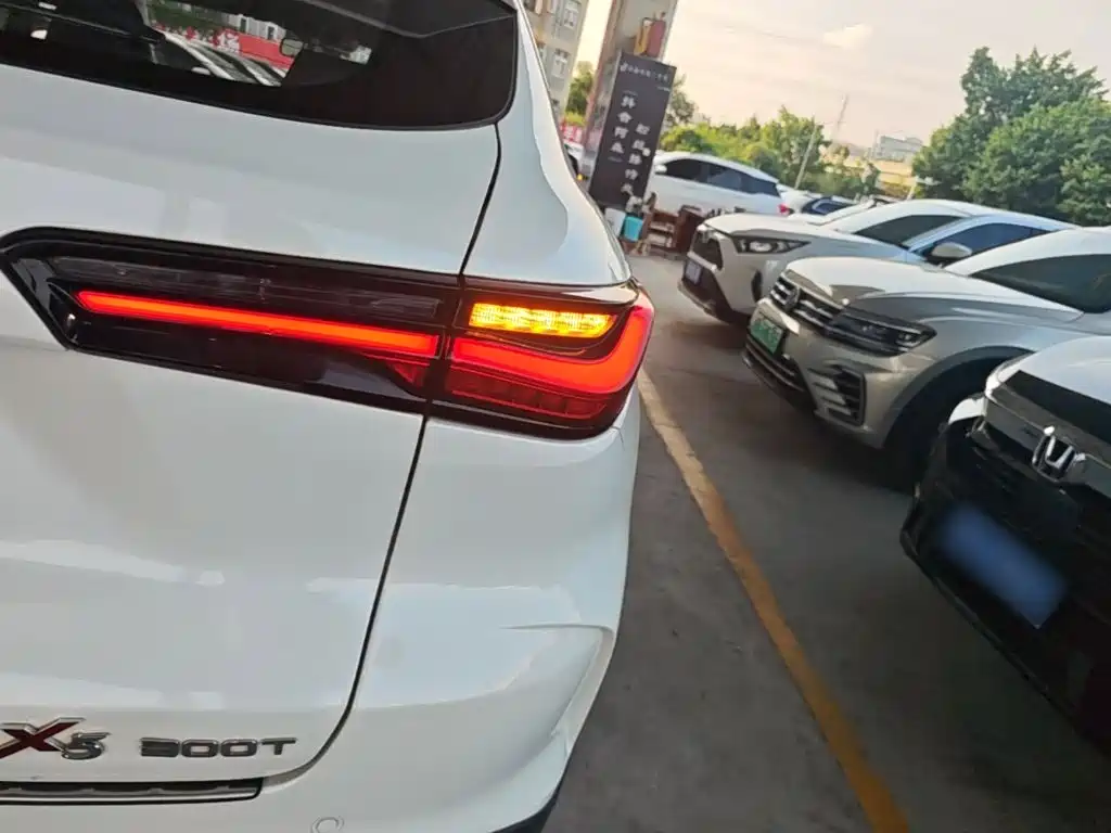 Фото 8 - Changan Oshan Changan Oushang X5